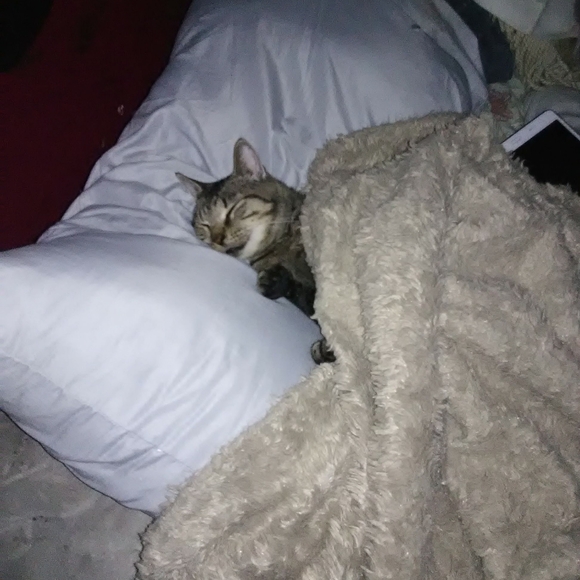 Meet your Posher, Jessica - Picture 3 of 14